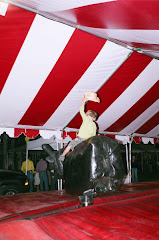 Bull Ridin"