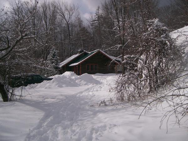 [Cabin__by_taraxkelly.jpg]