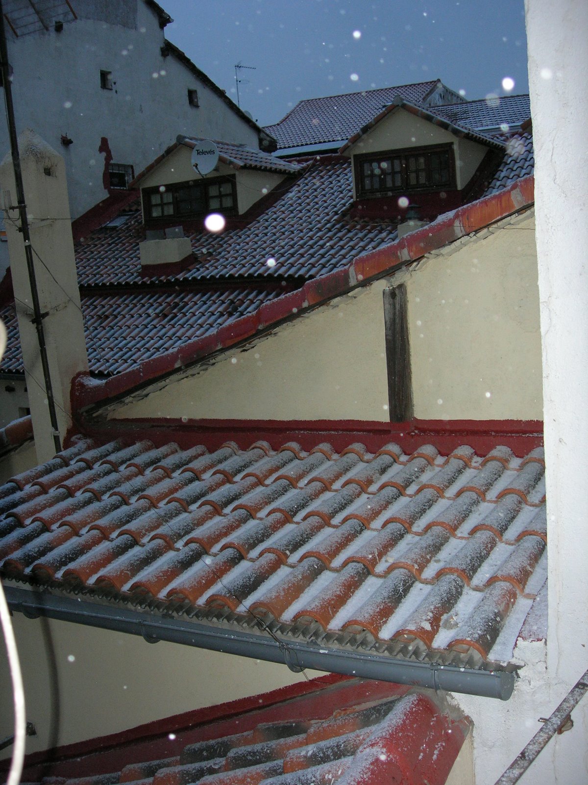 [DSCN3764.JPG]