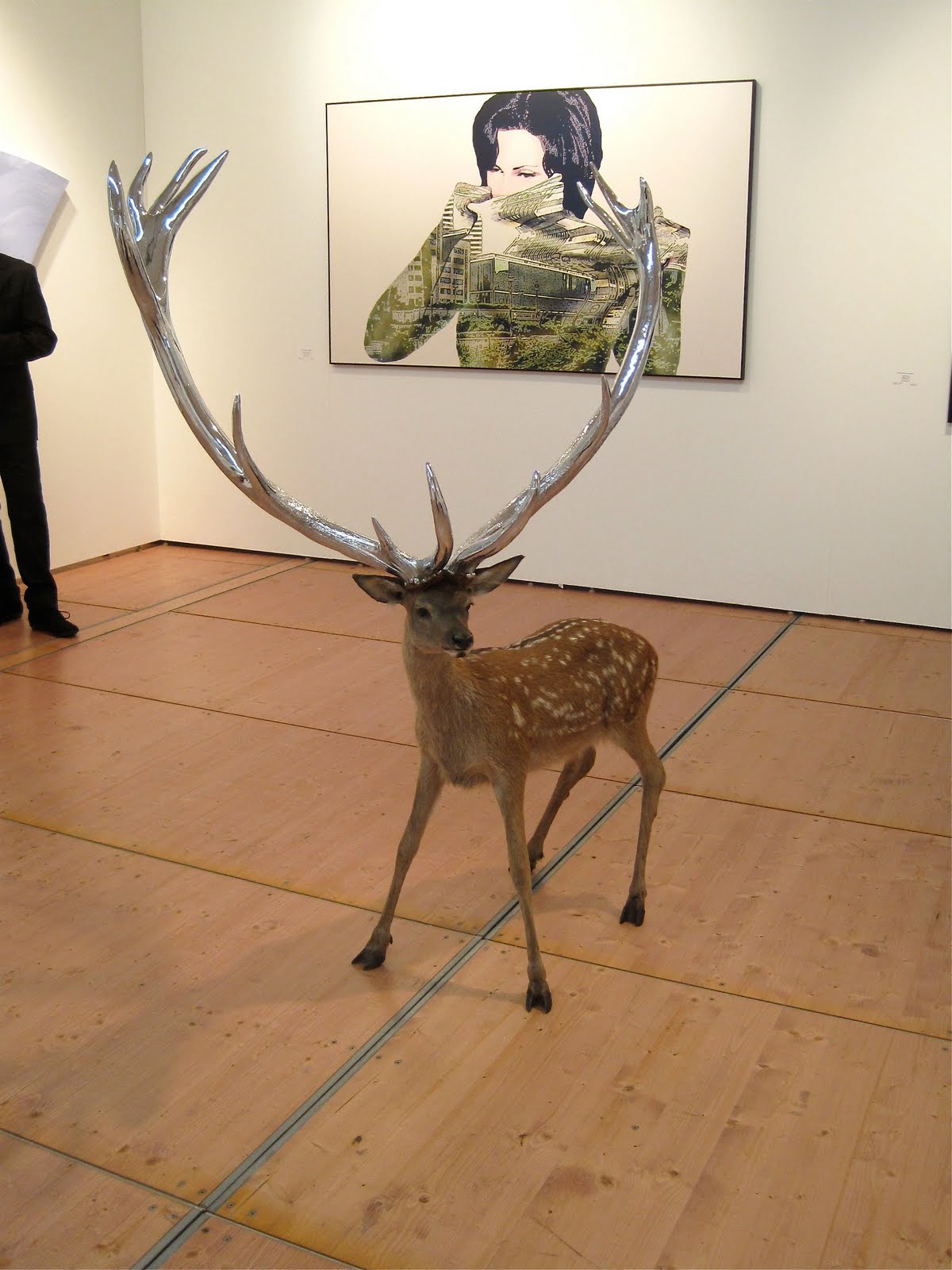 [bambi+and+rack+at+Scope.jpg]