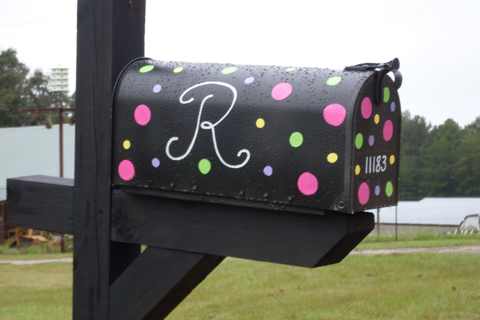 Spotted Creations Hand Painted Mailboxes