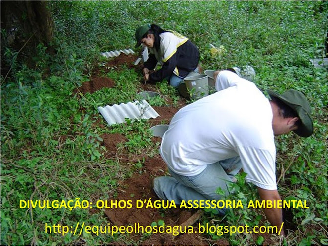 INSTALAÇÃO DE ARMADILHAS PITFALL