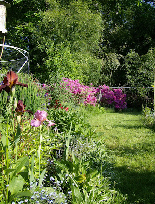 border garden