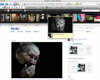 Flock Screenshot