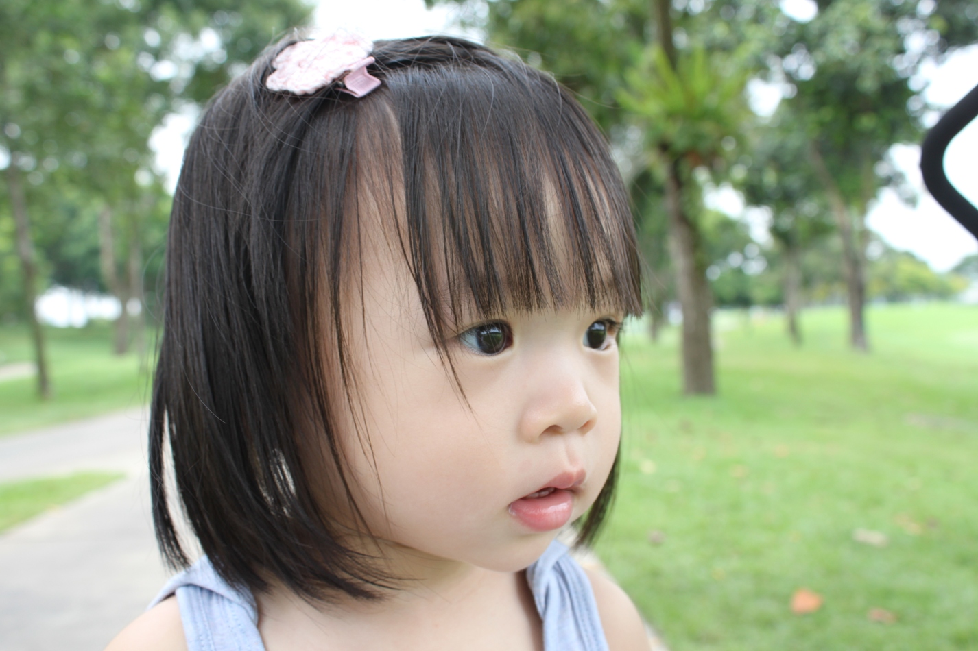[IMG_1571.JPG]