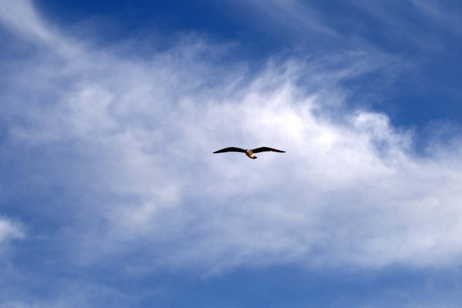 [IMG_0274.CR2.jpg]