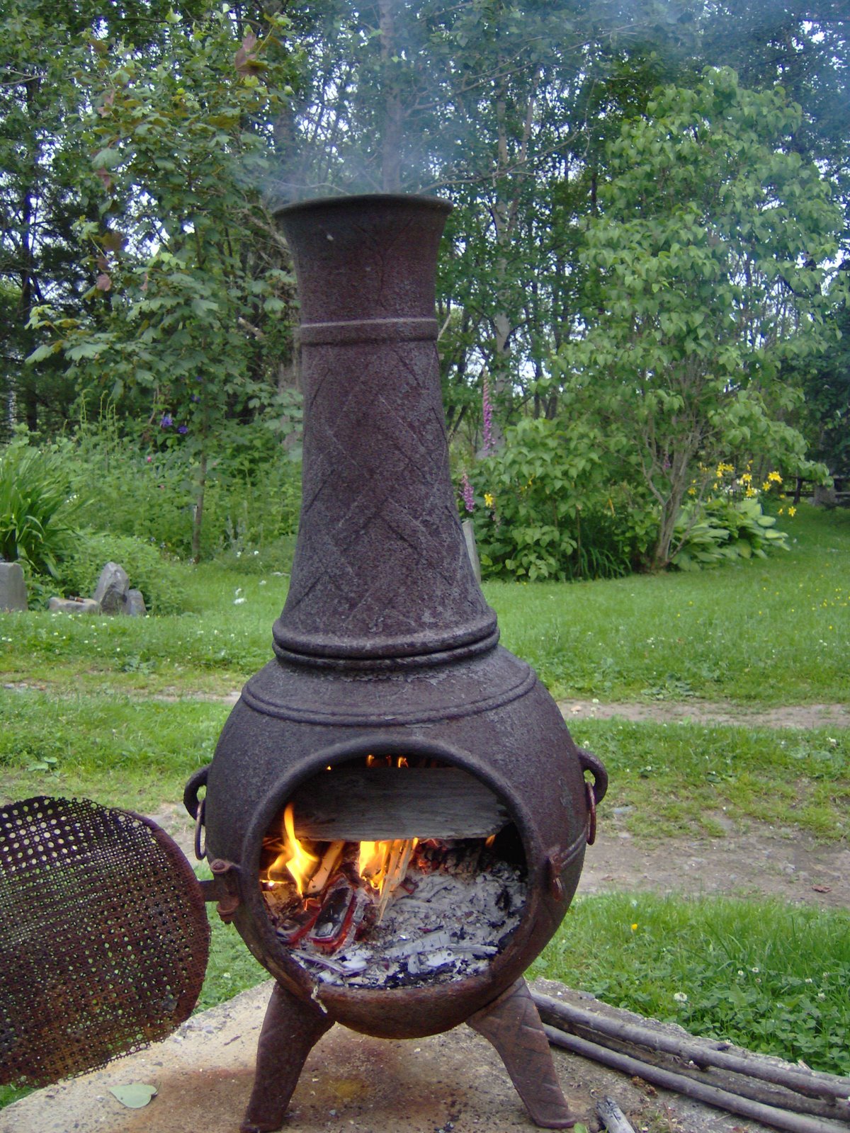 [fire+pit.JPG]