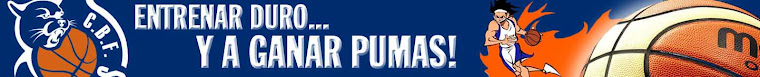 Blog Pumas