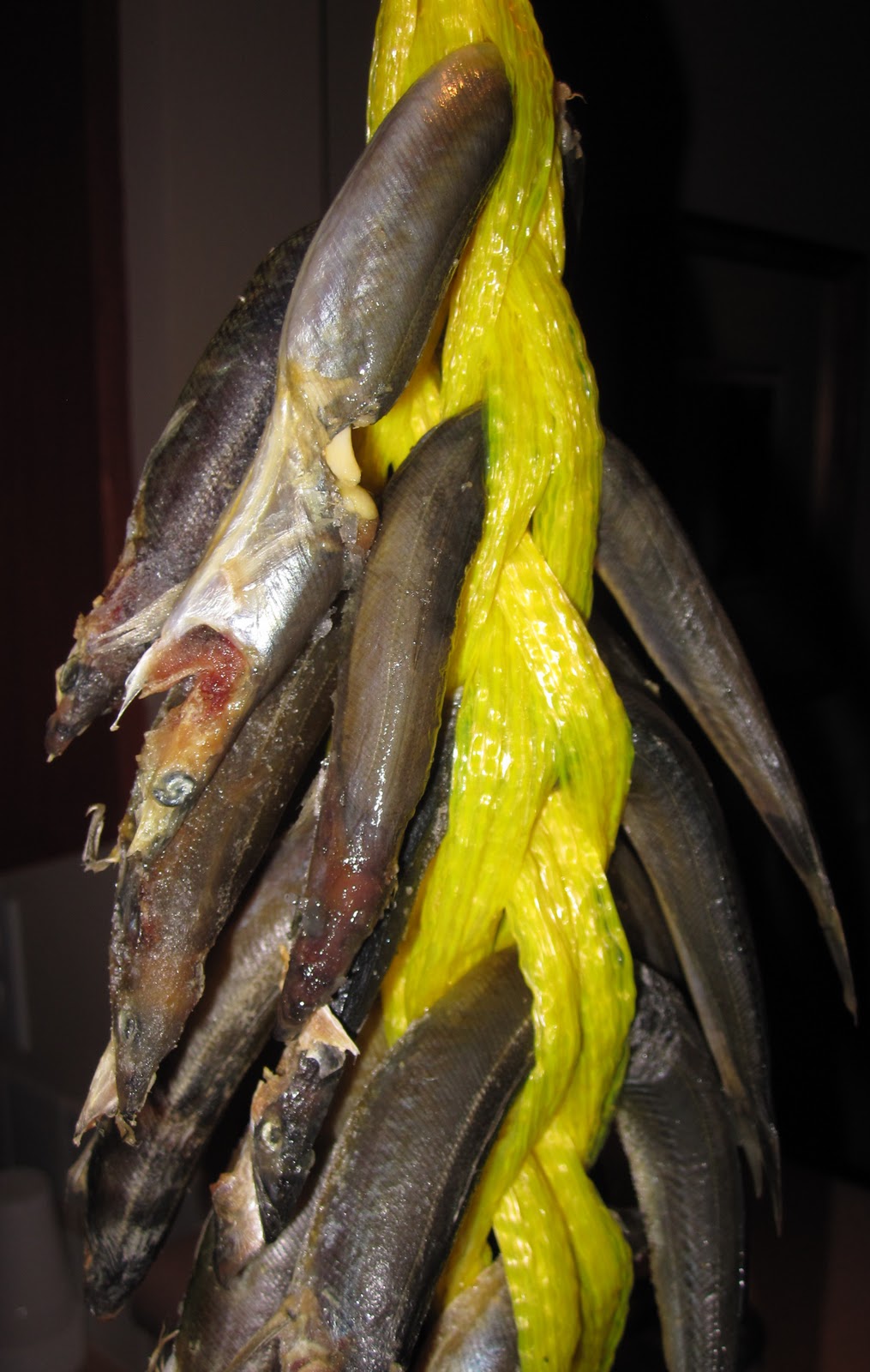 Cannundrums: Sand Eel or Sand Lance