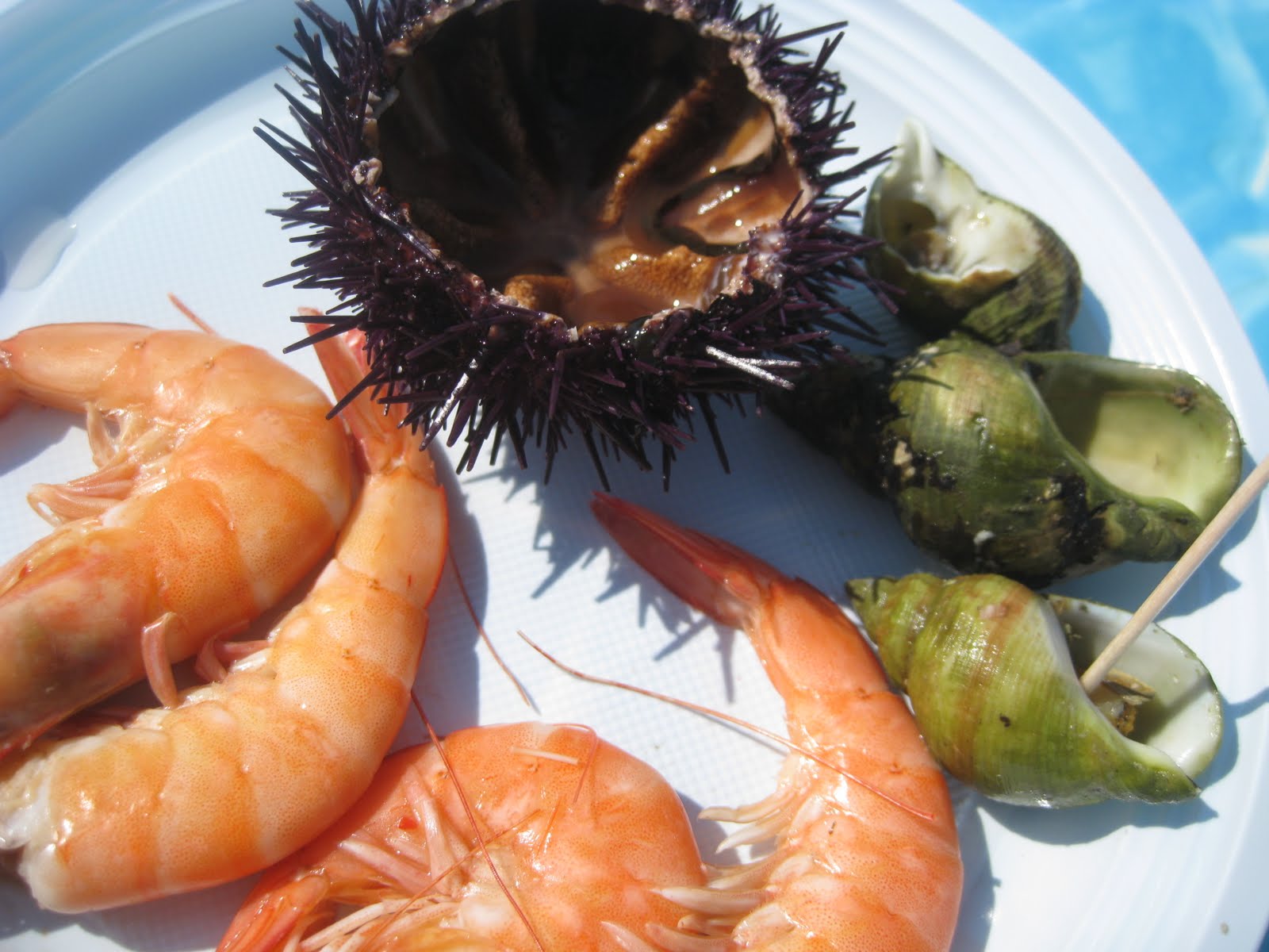 Seafood that didn't make me vomit...