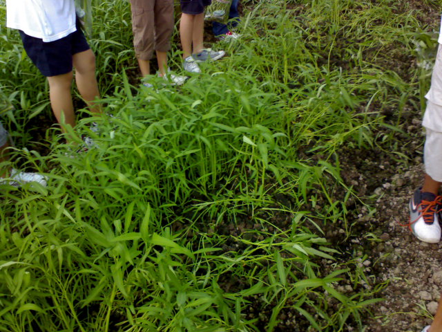[DSC01659.JPG]
