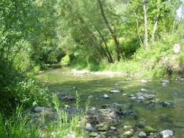 Il fiume Foro