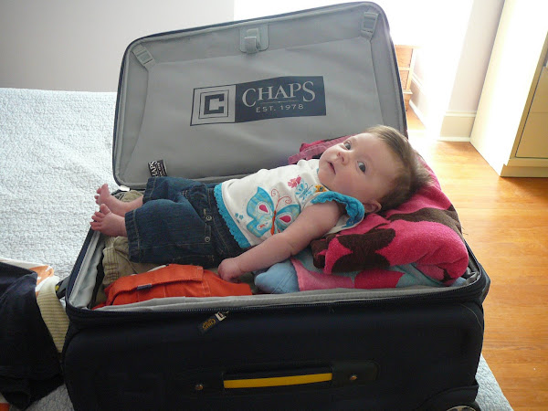 sienna in the suitcase