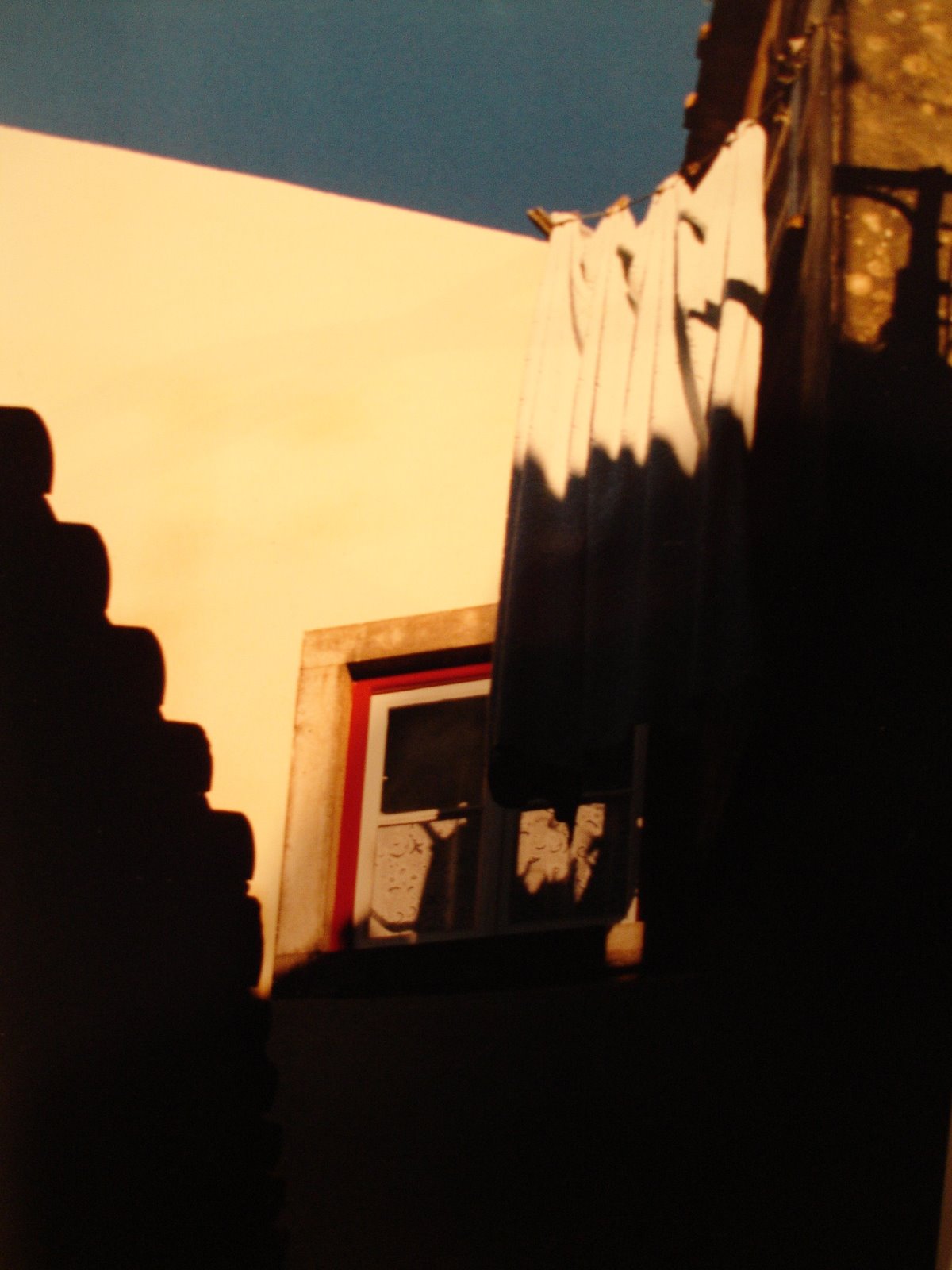 [DSC00480.JPG]