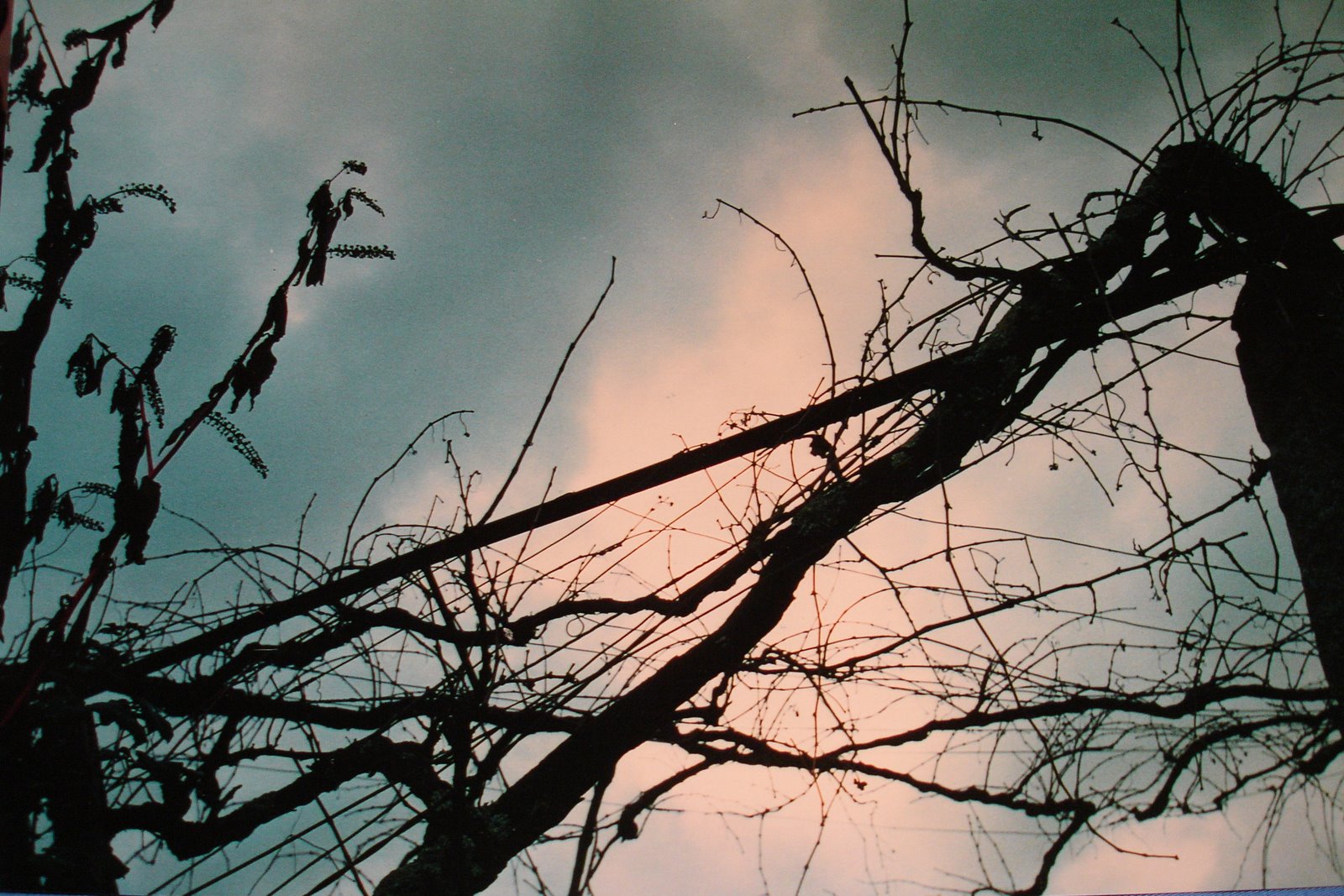 [DSC01096.JPG]