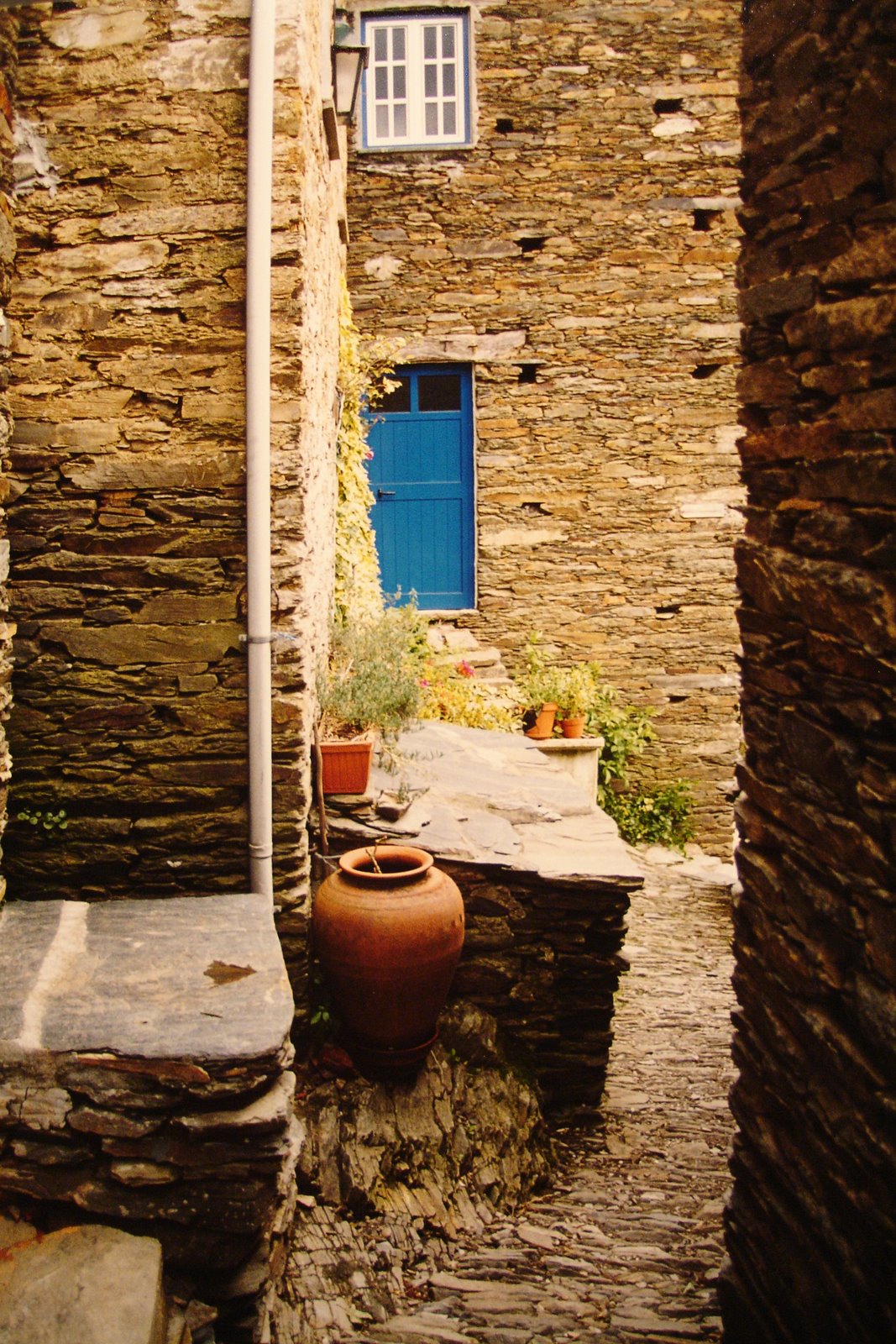 [DSC01134.JPG]