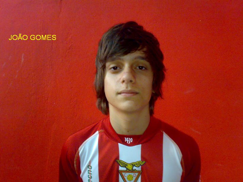[JOÃO+GOMES+1.JPG]