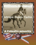 Intrepid Riders Faction Award