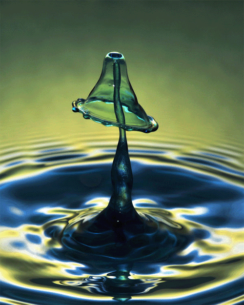 [Mashroom-or-drop-effect.gif]