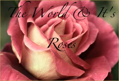The World and It's Roses