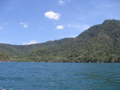 What have I been up to? - Scotland Bay Lime 5 IMG 6832