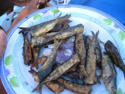 What have I been up to? - Scotland Bay Lime 17 IMG 7023