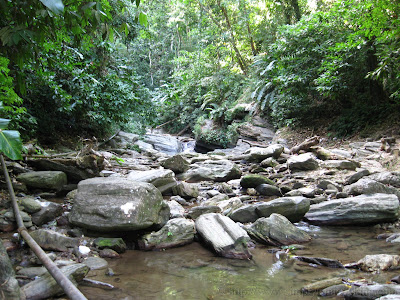 Morang River 25 IMG 1786