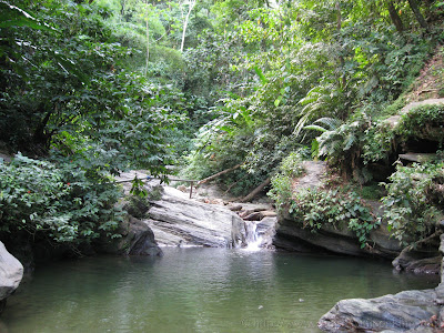 Morang River 23 IMG 1784