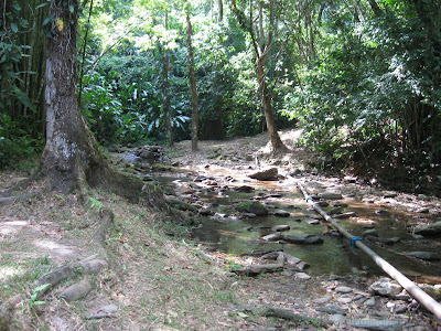 Morang River 13 IMG 1743