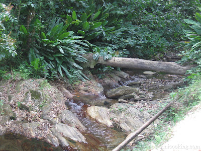 Morang River 3 IMG 1721