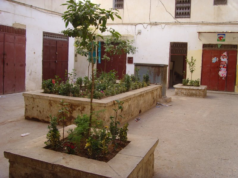 [garden..jpg]
