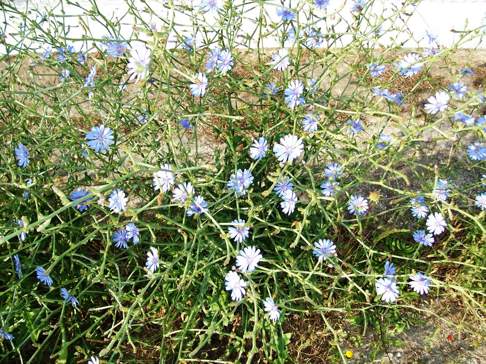 [pr-v78+JÃ¡tiva+003.jpg]