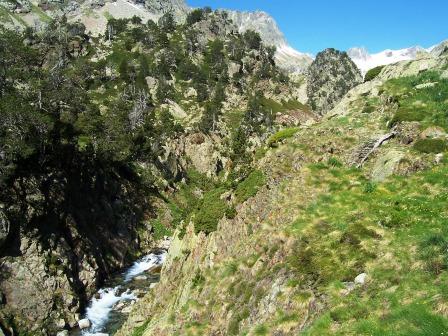 [IBONES+DE+REMUÃ‘E+015.jpg]