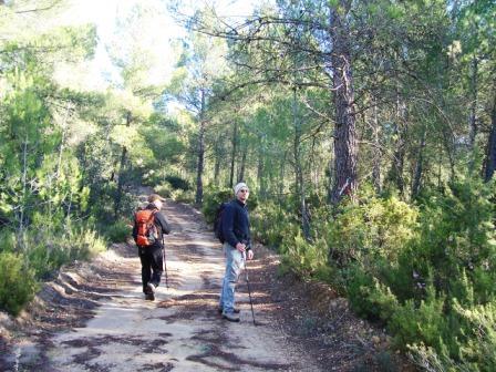 [CAÃ‘ON+DEL+RIO+TURIA+15-11-2008+013.jpg]