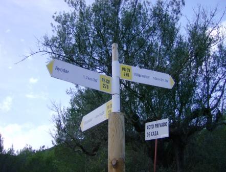 [pr-cv276+ayodar-villamalur-ayodar+29-11-2008+001+(7).jpg]