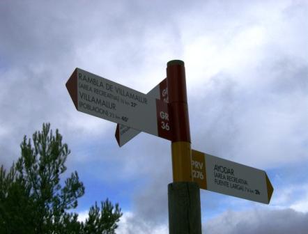 [pr-cv276+ayodar-villamalur-ayodar+29-11-2008+001+(29).jpg]