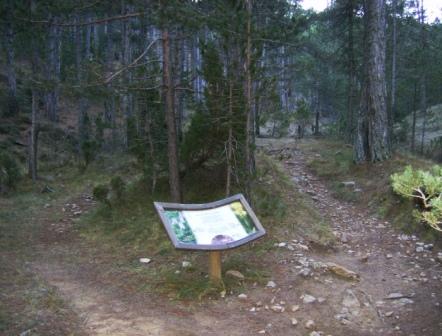 [PeÃ±agolosa+(comida+fin+de+aÃ±o)13-12-2008+005.jpg]