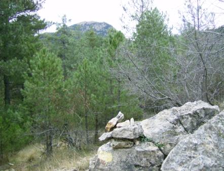 [PeÃ±agolosa+(comida+fin+de+aÃ±o)13-12-2008+047.jpg]