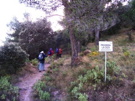 [MATET-+ALGIMIA+DE+ALMONACIR+24-1-2009+017.jpg]