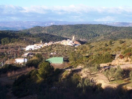 [MATET-+ALGIMIA+DE+ALMONACIR+24-1-2009+004.jpg]