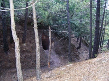 [MATET-+ALGIMIA+DE+ALMONACIR+24-1-2009+056.jpg]