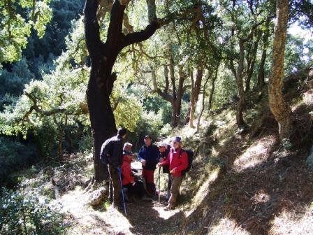 [MATET-+ALGIMIA+DE+ALMONACIR+24-1-2009+064.jpg]