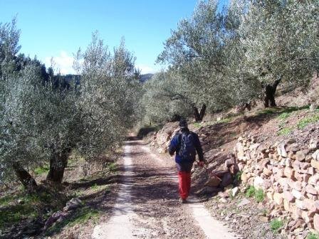 [MATET-+ALGIMIA+DE+ALMONACIR+24-1-2009+084.jpg]