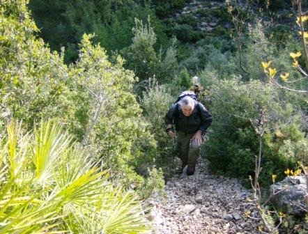 [PR291+(+Gestalgar-el+Salta-La+Pera-+Gestalgar)+043.jpg]