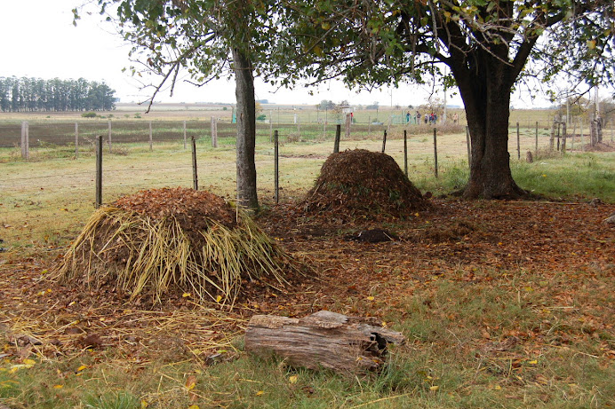 El compost... x2