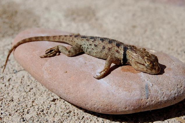 [espera+post634.JPG]