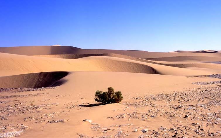 [espera+post109.bmp]