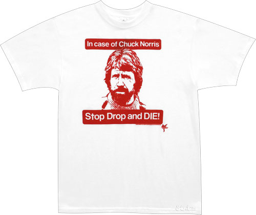 [chuck+norris+t-shirt.jpg]