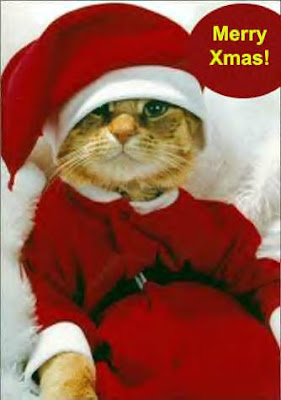 Cats+Christmas+Kitten.jpg