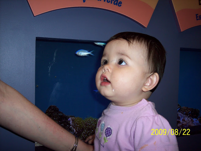 Monterey Bay Aquarium